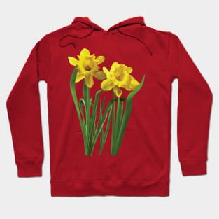 Daffodils - Daffodils At Attention Hoodie